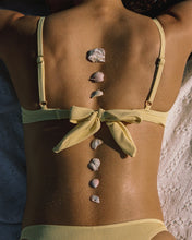 Load image into Gallery viewer, Donnie Bottom Bitsy